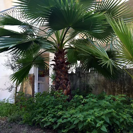 Artroom Garden